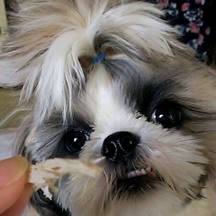 D7664502 db4f 4046 9d80 a386e416f636