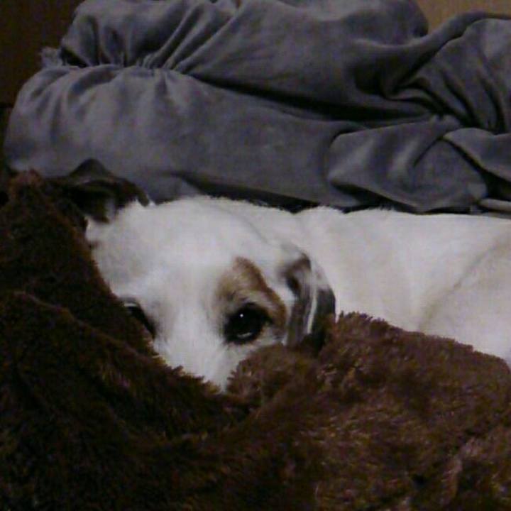 D76668df 9194 4ba7 8faa 2d09c51fe1e3