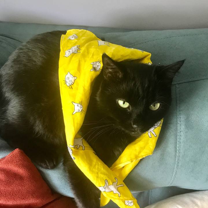 D767d19f 6295 4e0e a8a4 477265afc5b1