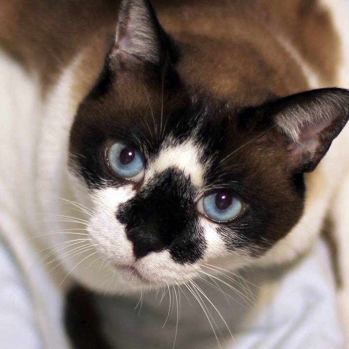 D767d207 0217 4a00 8f84 fbc4f9688c4d