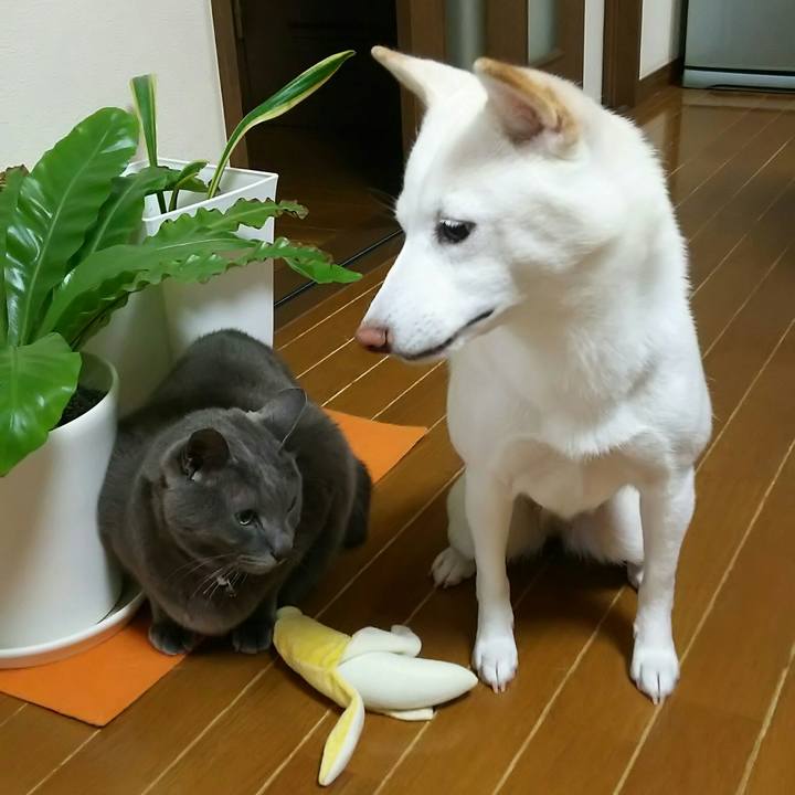 D7683ebb ddb0 4b47 813b 59c471d10698