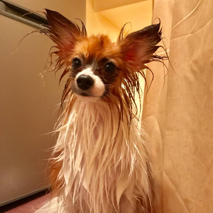 D76869ad 90e9 4b82 a613 dcc0133a8a64