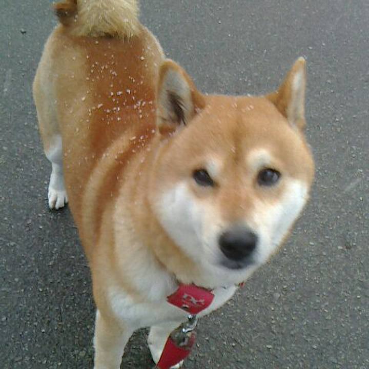 D768e821 bd05 42be 8ec0 d50346ef240d