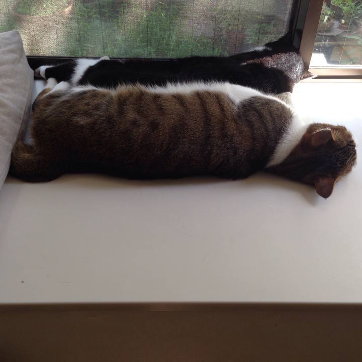 D7690f58 eff1 4429 b4f0 83e88a46d0cf