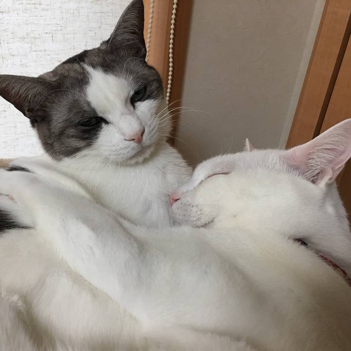 D7693e49 01df 440b a8cb 17f7ecabbd20