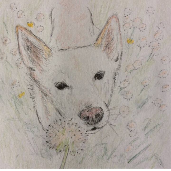 D76974f8 81ab 42a0 a5ec 2f4de9c88666