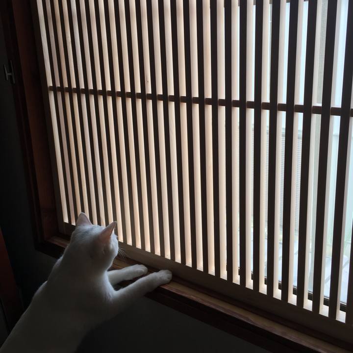 D7699743 f0be 4e99 a3e8 10bbfa47aa04