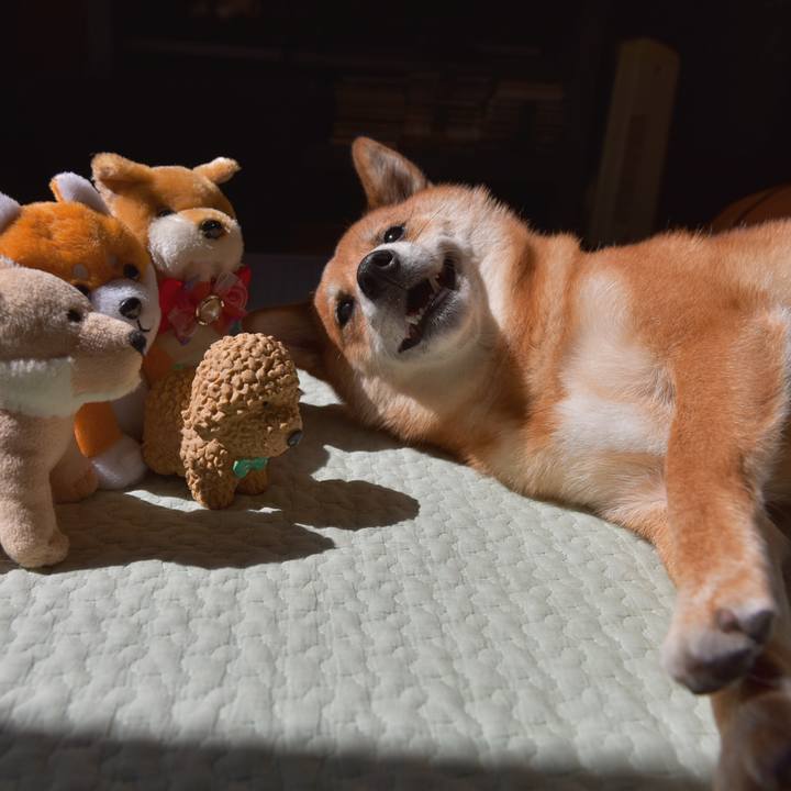 D769e4ae 1d9e 44c8 aa40 77d3dae4e243