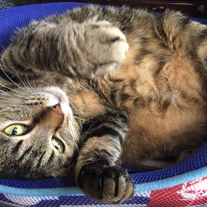 D769f484 dca2 49cd 8522 b251a38c79ee