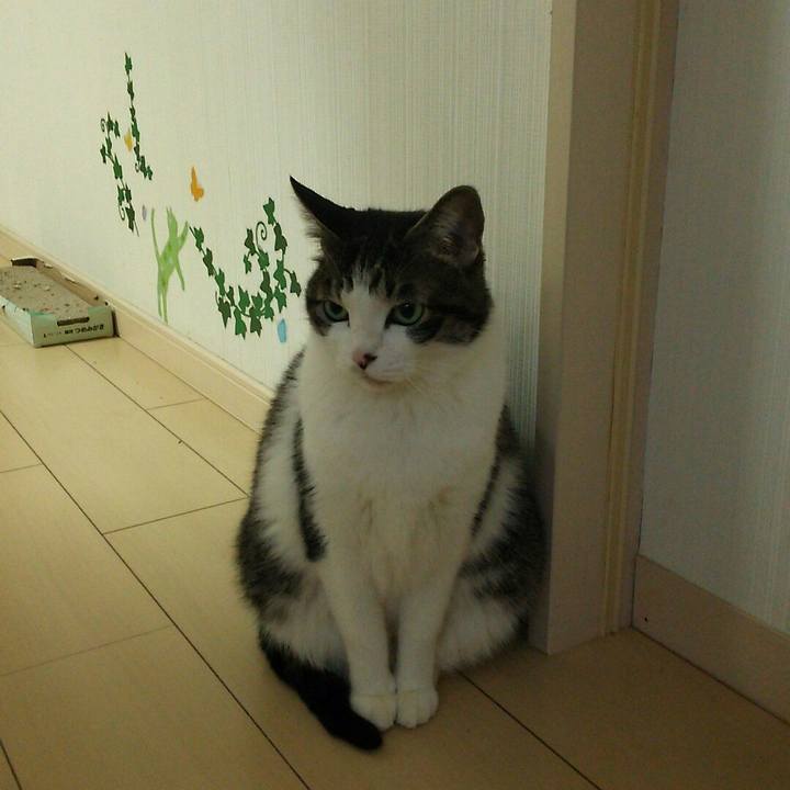 D76a0453 a54d 4ab5 9e9e f18f1bb4c954