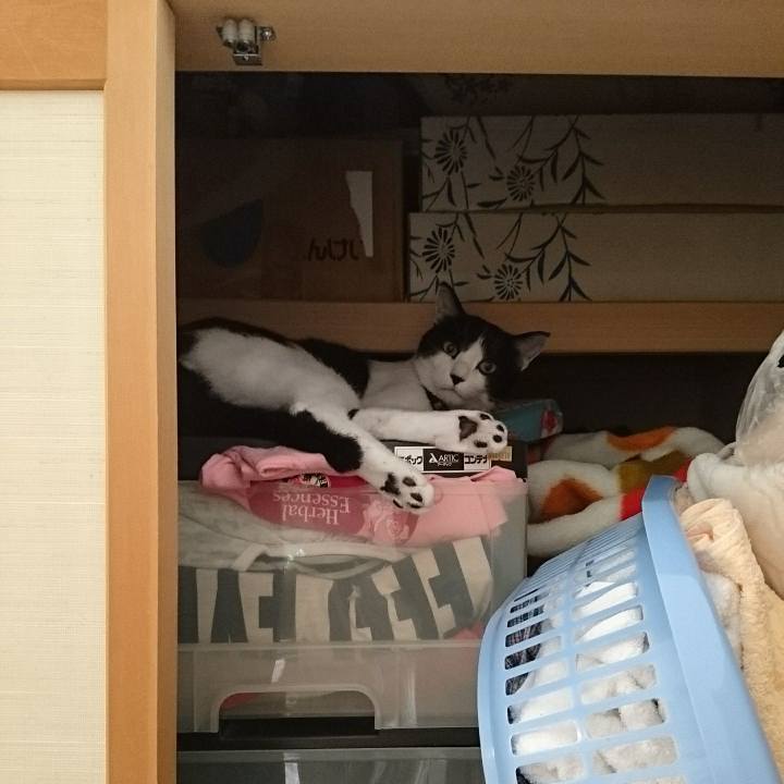 D76a5929 638a 417b bdd2 1d70e93af0e6