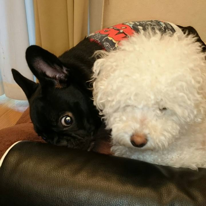 D76a7233 518e 4cab 81cc 6309f1f2b9df