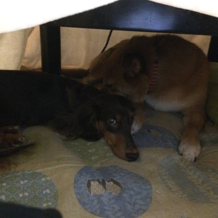 D76a7384 5fc6 40f4 a81e a117c0f912ac