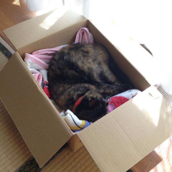 D76ae898 aeb9 46ca a127 6adbc998a430