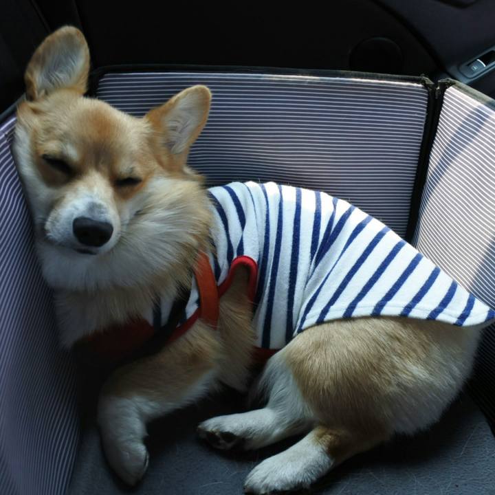 D76b2bc9 84a3 4a7c a8b7 b91099925869