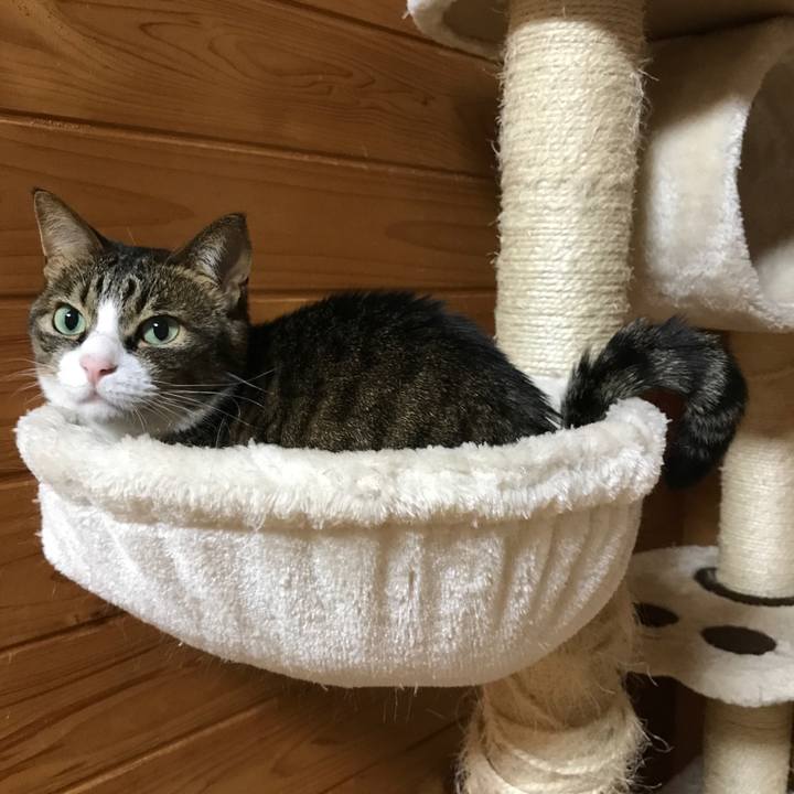 D76b32d2 7635 4995 a32d daca1eb78b74