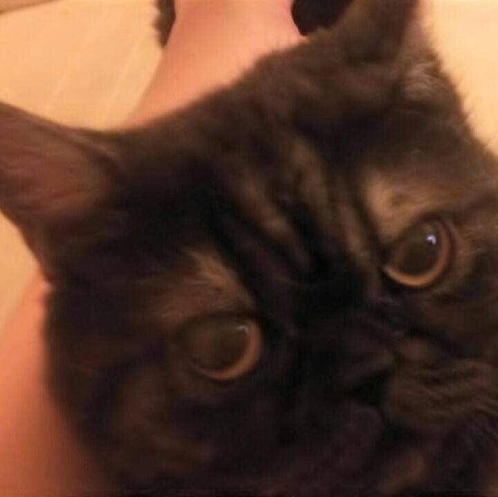 D76bea75 0c36 4b34 ab8d 84177d989c8d