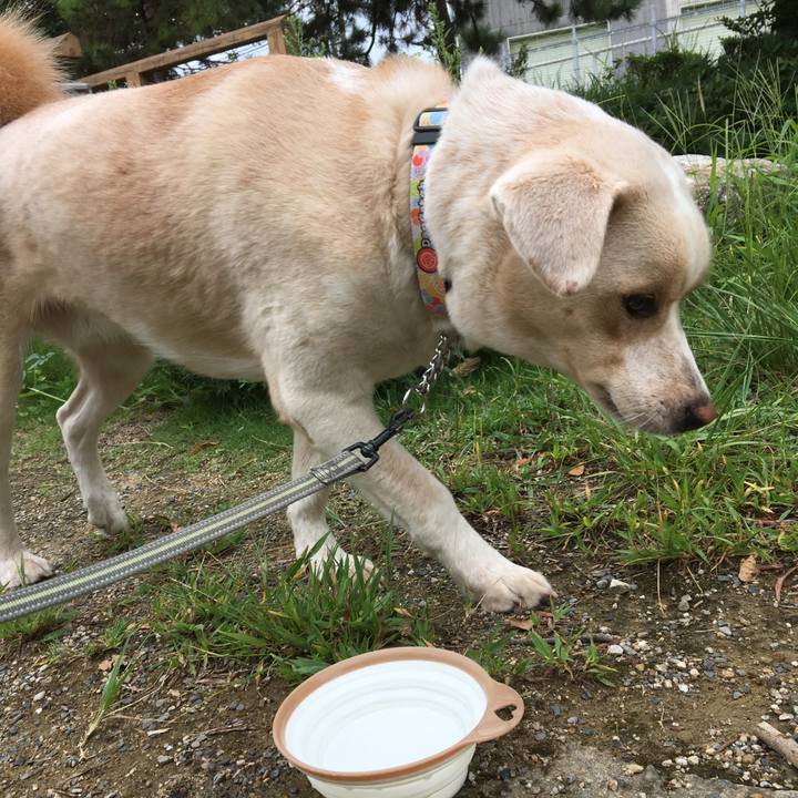 D76c5524 9f0e 42fe b62b 987b4a86d66f