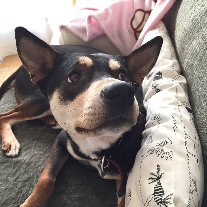 D76cb9fe 448e 469d 9785 98dbf620ca32