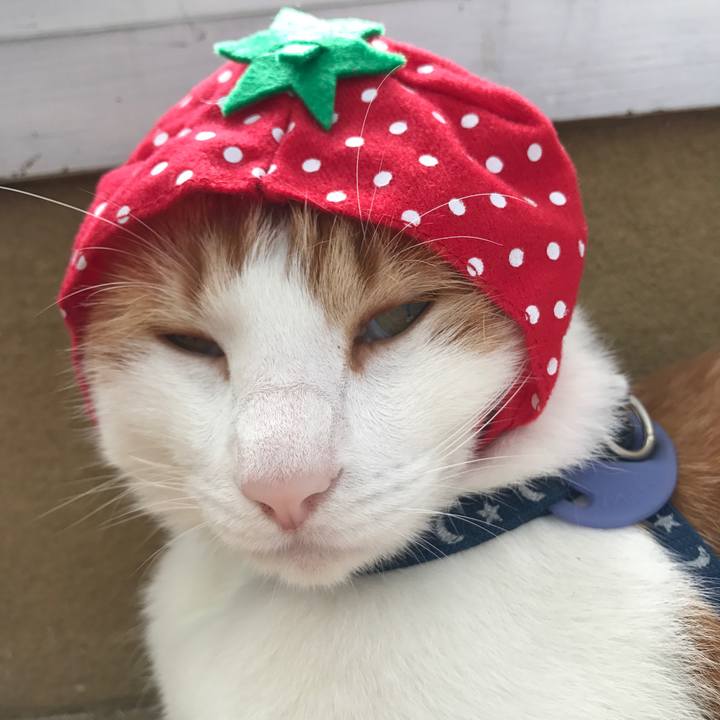 D76d883d 14dc 4adb a821 57203f6b0c5a