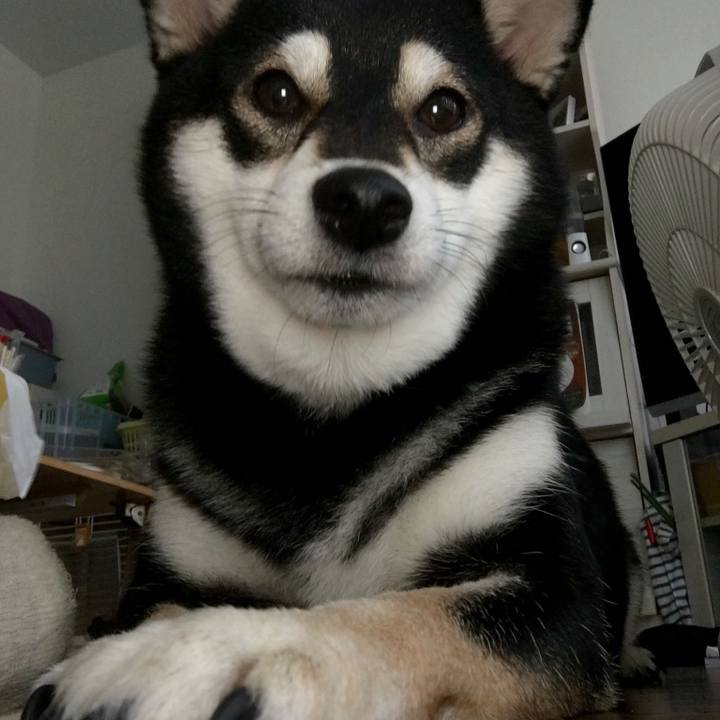 D76dbb1b f805 4196 9828 a751551daf54