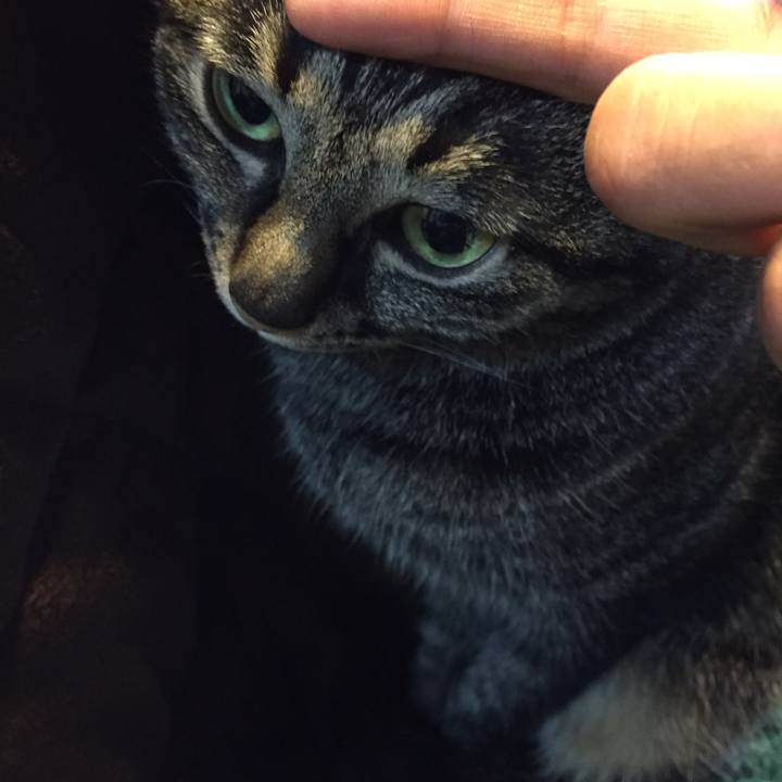 D76e403c 4e42 47a0 9954 44fe9cfe3ccb