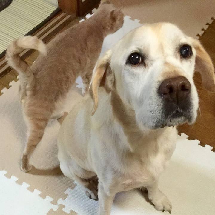 D76e7204 3e3e 43ac 8db2 39b1ecd6c370