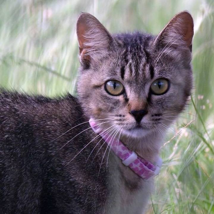 D76f632a ac3e 4ab7 b1d5 19db564913d6