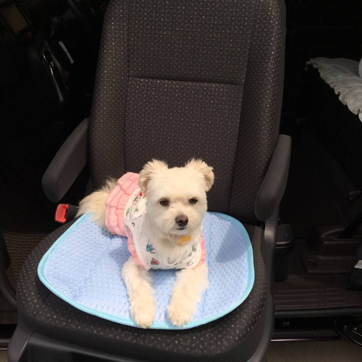 D76f8946 c93e 49aa ae6a a39b535089e8