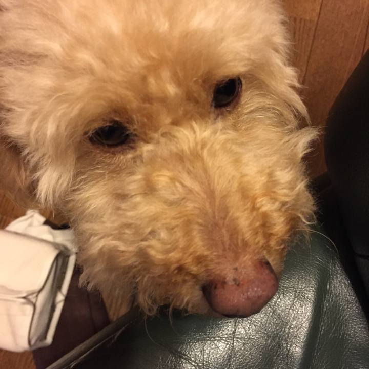 D76fa574 787f 4e04 a0c5 0cfd59788e74