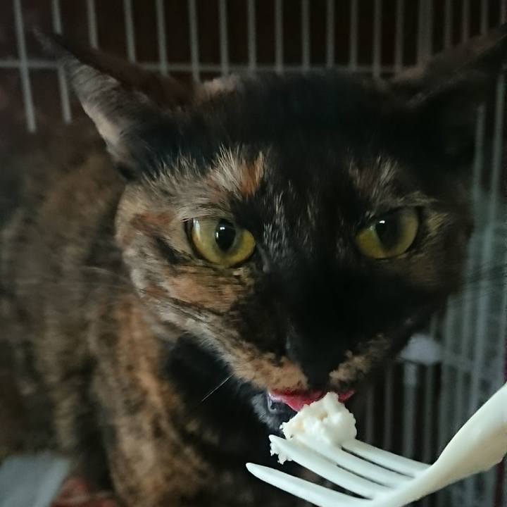 D7700a9d 3cdd 4444 b705 ffaf700961e4