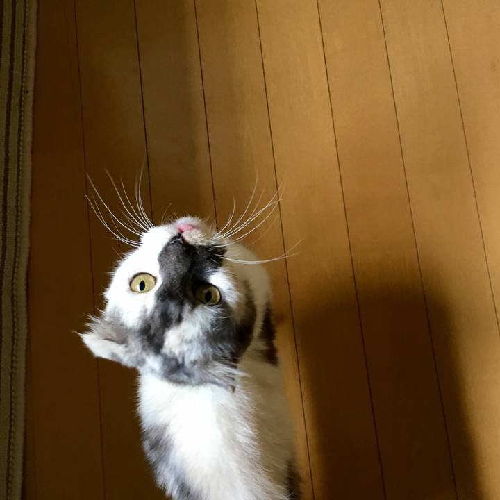 D770b0f4 00ff 4ae6 beef 505f0ef7384f