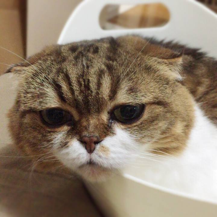 D7716548 7497 4e5b a414 e880b4668d87