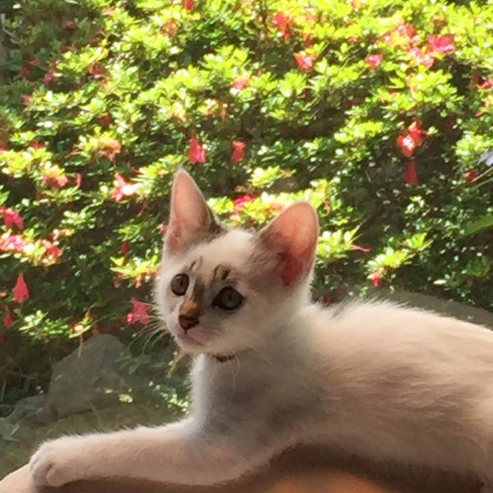 D771b37b 1303 4a6c be88 5711a84e8a33