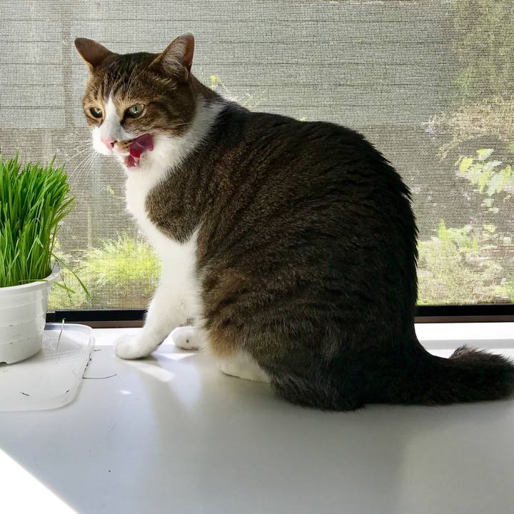 D772177e 782a 4f32 ac92 c2adaa63bcac