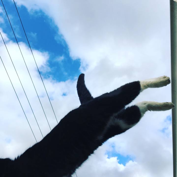 D772211b 85f9 403c 8f6d 5a725c10f284