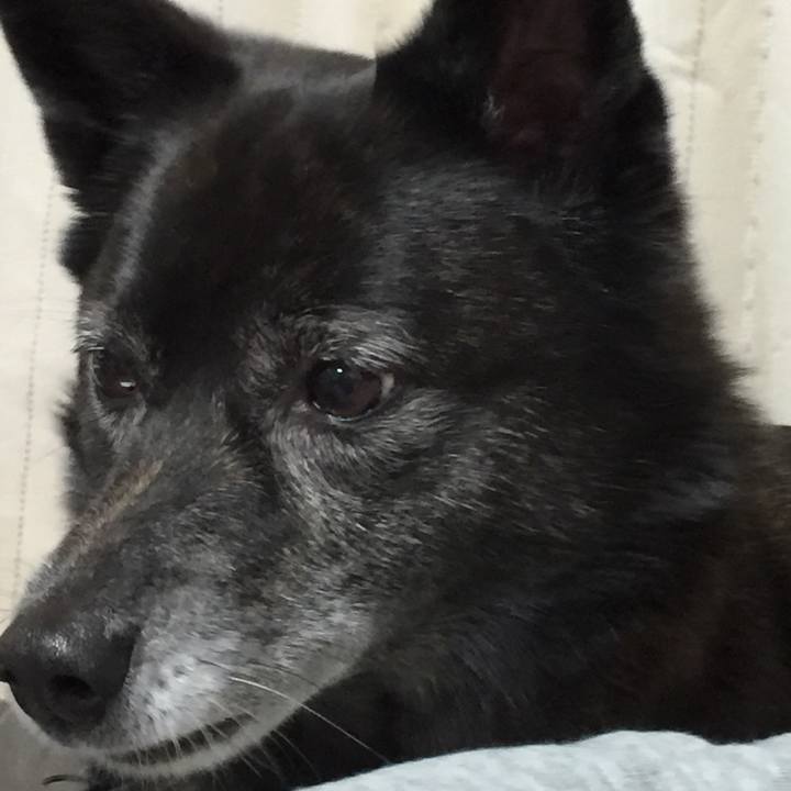 D772b69e 8ed3 44ff ba51 71b3ae1be302