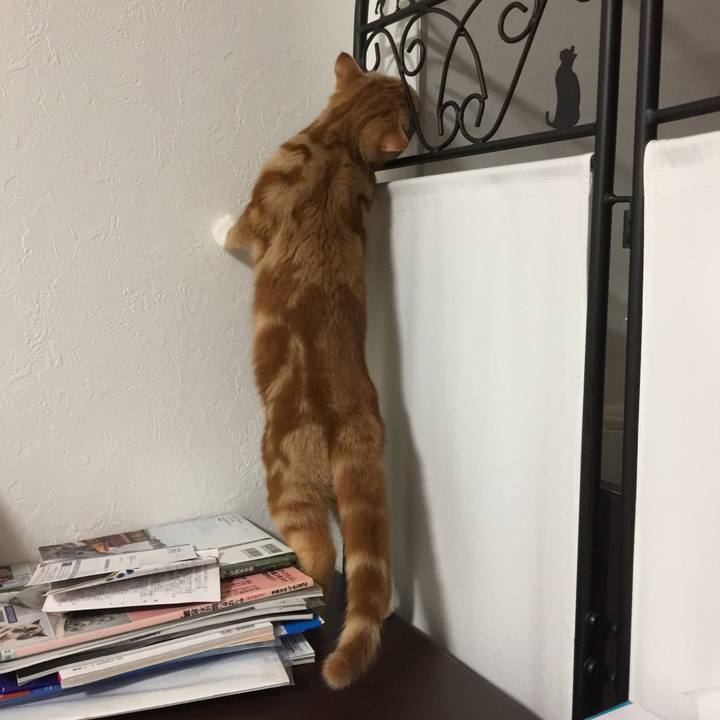 D772e832 84f3 4166 851d 44c95f7cf3ac