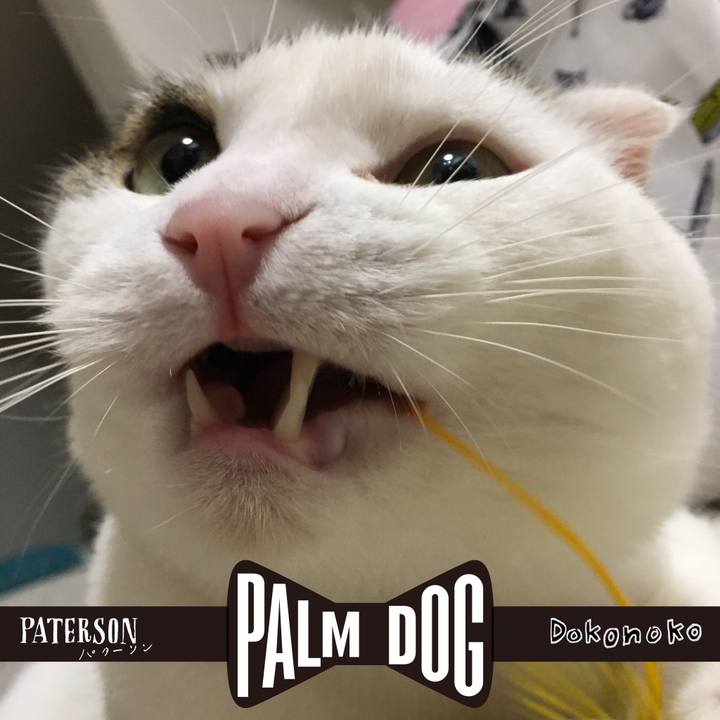 D7739157 6a29 4479 bf82 9b6f5d0fae27