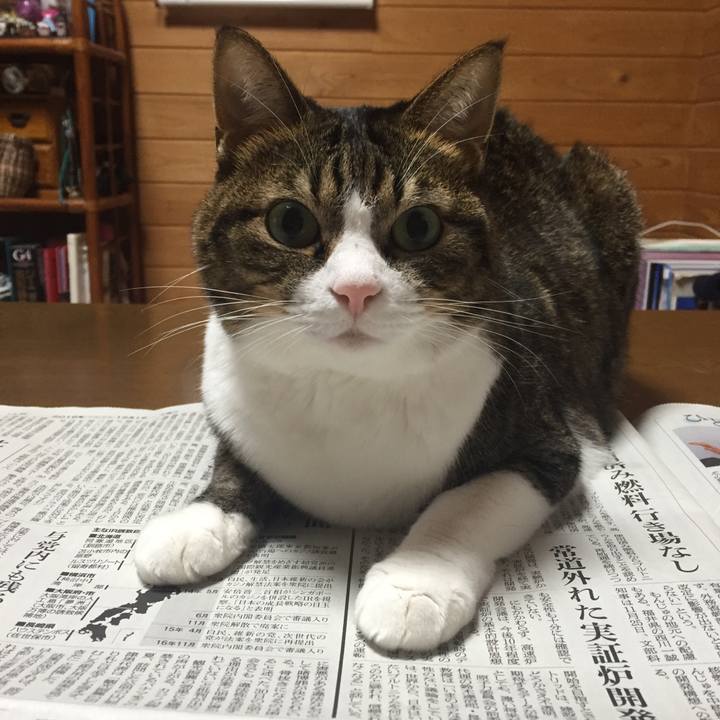 D773f328 258c 4195 800a ecbbfd1005c7