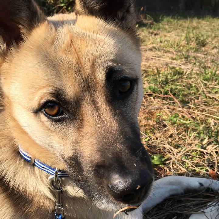 D77424a5 73b5 4601 a5b5 827818839184