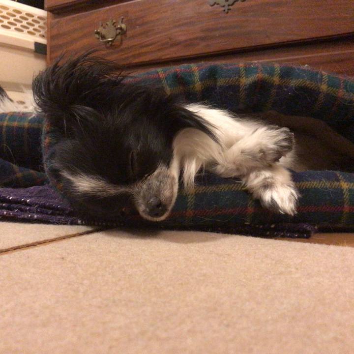 D7745532 95f0 4731 94ec e40400924b82