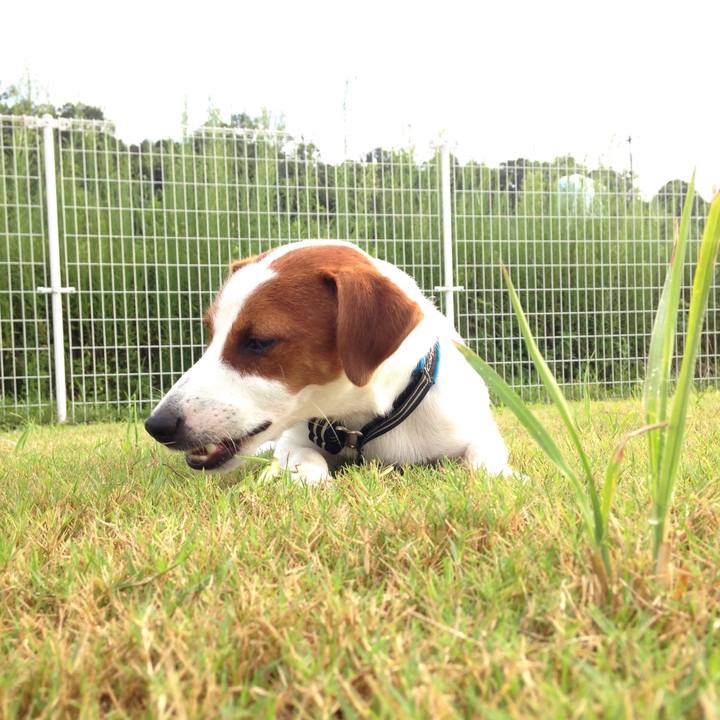 D7747ac5 b1ac 4366 a921 6e3d46f3deb0