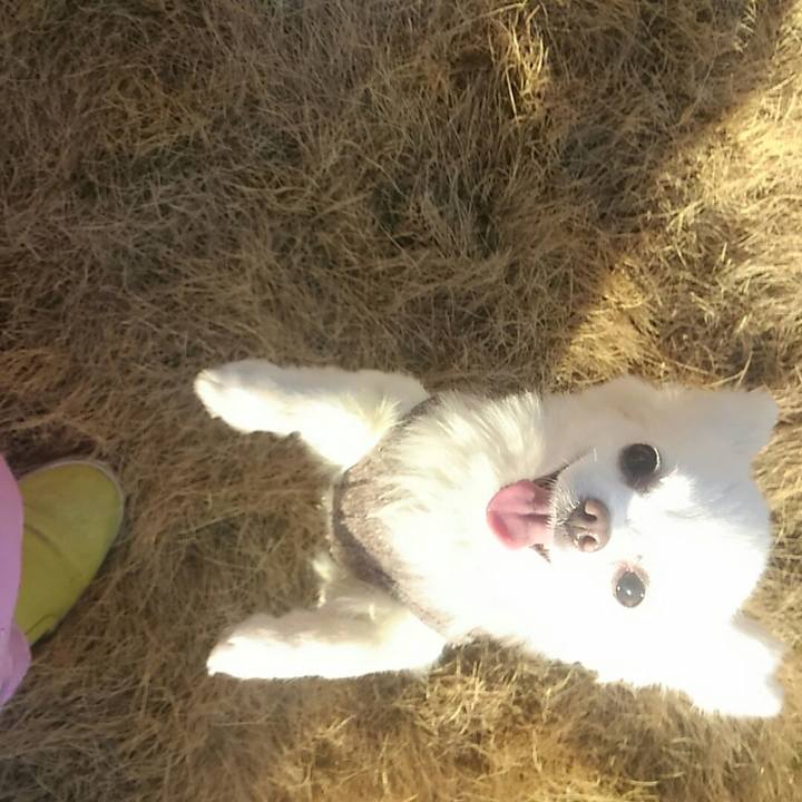 D77503aa 036e 4ecf 8e62 21a17c7ff438