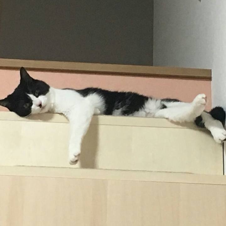 D77586e2 71e6 4678 a99e 55bb9e588cd0