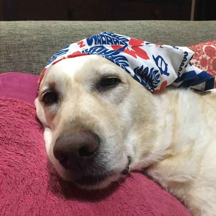 D7766cde 946a 4bb3 a6c5 84a4d8a9f236