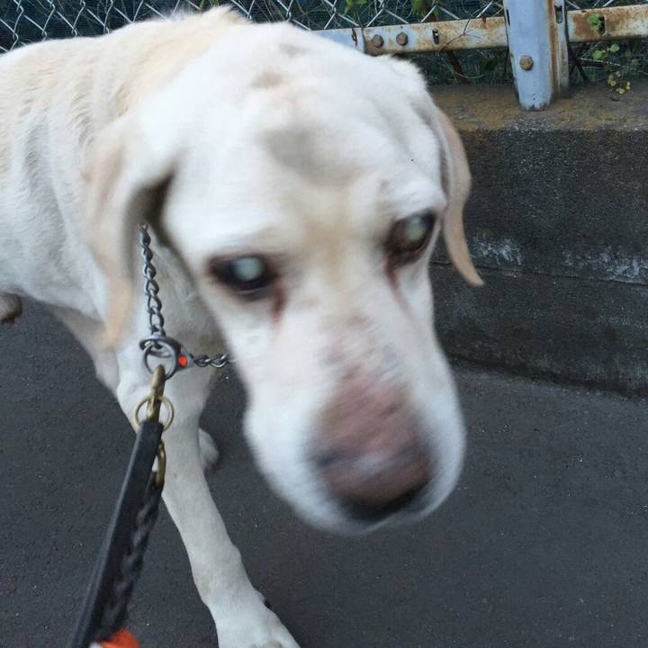 D7769ba6 0e4b 431a 9f38 91bc09b98e01