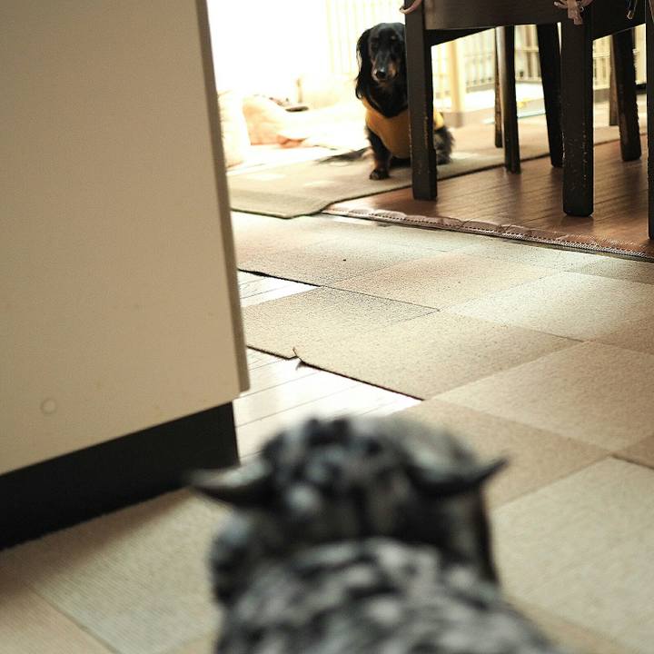 D776a101 0de9 4893 8953 711428f040bb