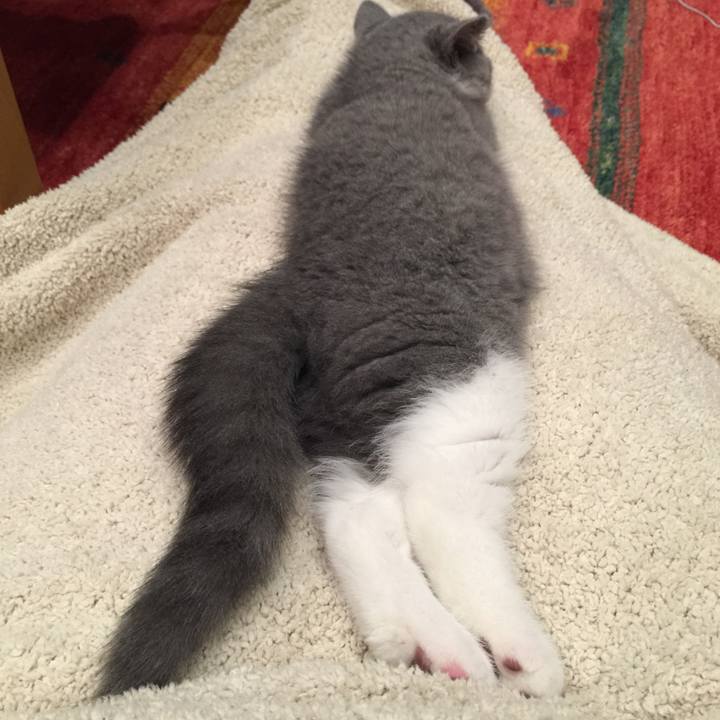 D776de71 bd8d 4b17 b254 4b856b7a652c