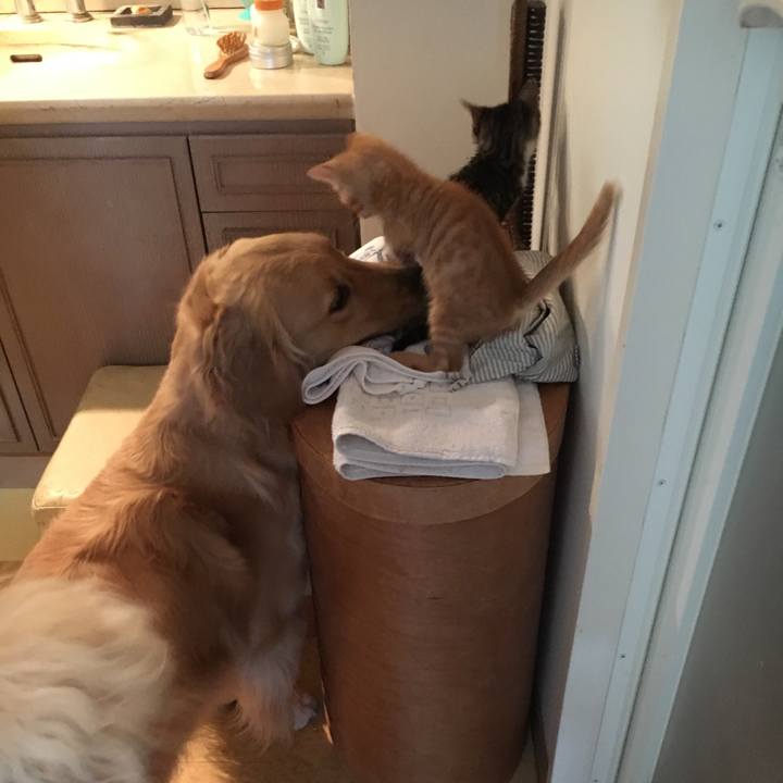 D776ec21 22e9 4b5f bd8a a6321d9f4971